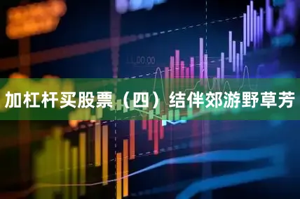 加杠杆买股票（四）结伴郊游野草芳