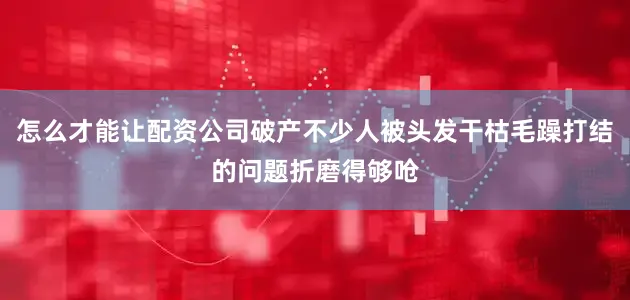 怎么才能让配资公司破产不少人被头发干枯毛躁打结的问题折磨得够呛