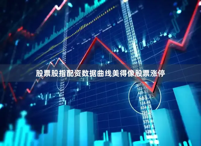 股票股指配资数据曲线美得像股票涨停